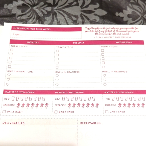 CONQUER YOUR YEAR - THE ULTIMATE PLANNER - Picture 7 of 16